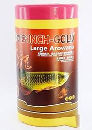 INCH-GOLD LARGE ARONA